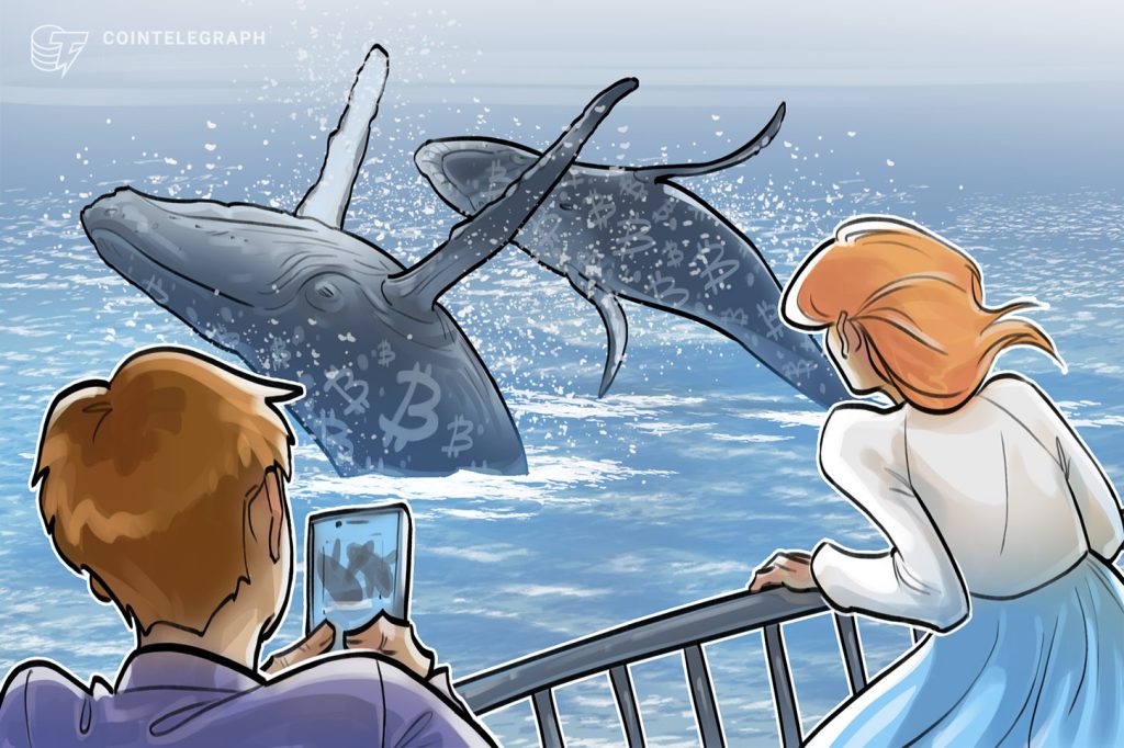 在全球不确定性的情况下，鲸鱼和鲨鱼在一个月内购买了 61​​,000 BTC