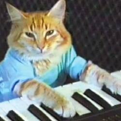 新币雷达观察：Keyboard Cat (Base)（KEYCAT）