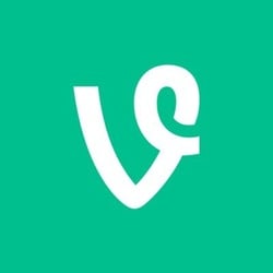 新币雷达观察：Vine（VINE）