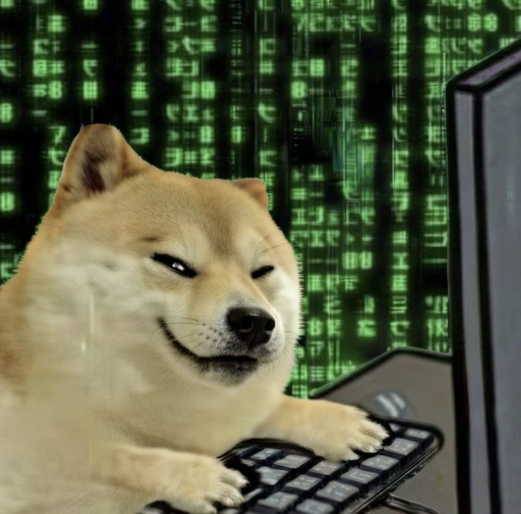 DogeOS 空投整理：要过两道门槛，先看持有 $DOGE、完成跨链